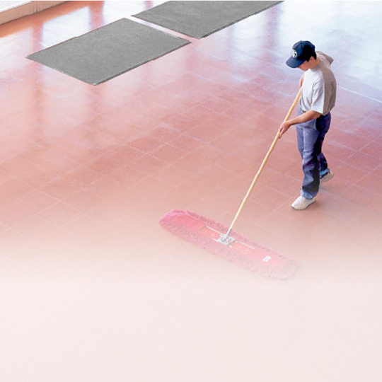 Control de Polvo y Suciedad