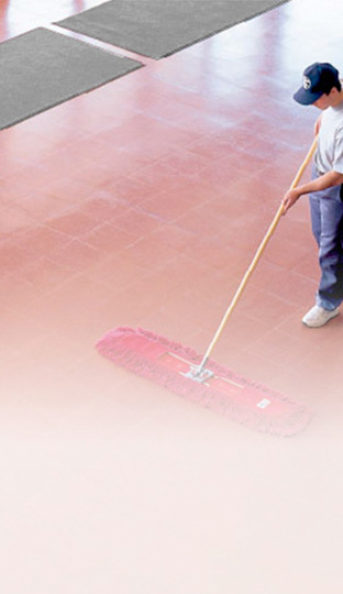 Control de Polvo y Suciedad